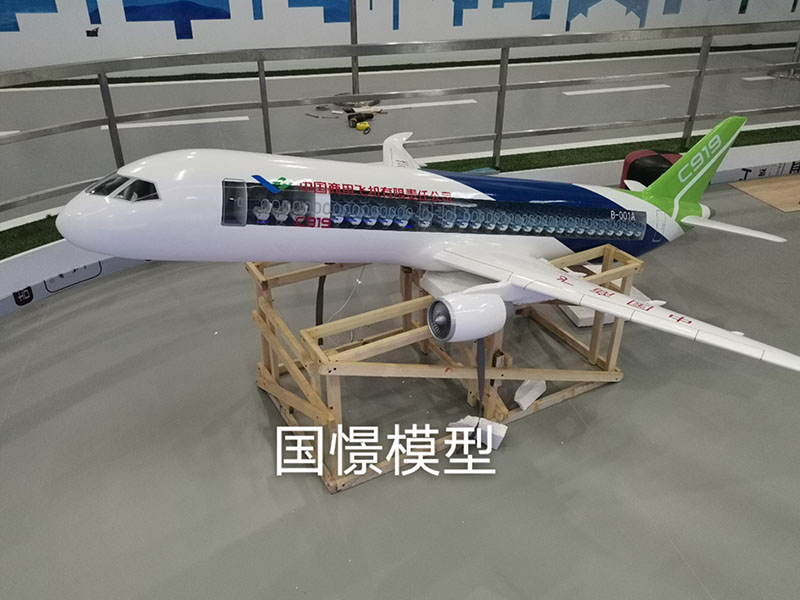 永修县飞机模型